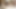 秘密のアマチュアストーリー アイドルタイプの美人との秘密の出会い プライベートな場所 -パート6