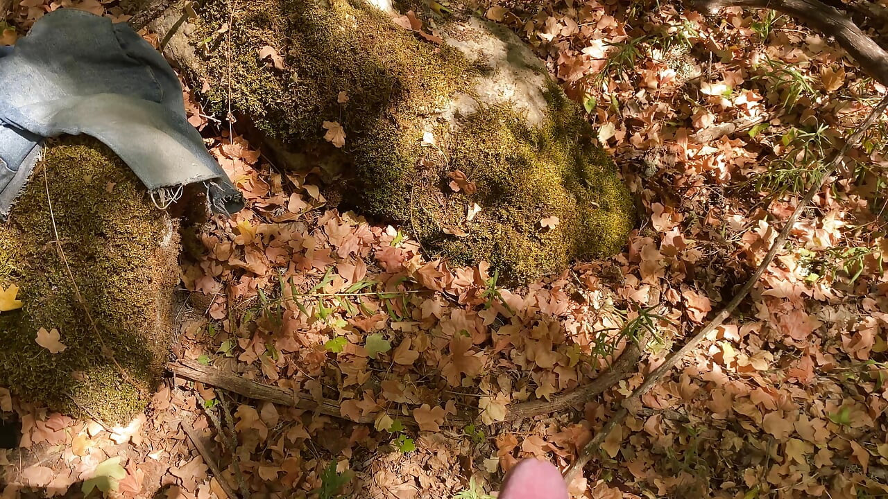 Pancutan mani dalam hutan 4K