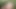 My elder brother's wife from Desi village was in an outdoor field with her shorts off, urinating, putting her finger in her pussy, and changing the corvette to take her brother-in-law's thick cock in her ass.