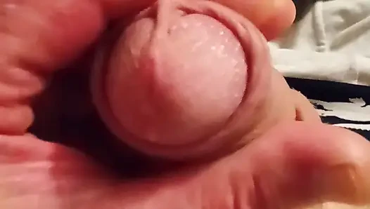 Drochka202616