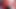 Red Lips Trans Girl Is Moaning While Her Asshole Gets Fucked