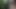 Cute Handsome German boy naked jerk off masturbation in the woods Forrest outdoor cum public big dick small cock muscle