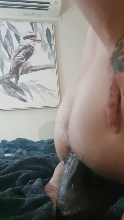 13 inch bbc dildo