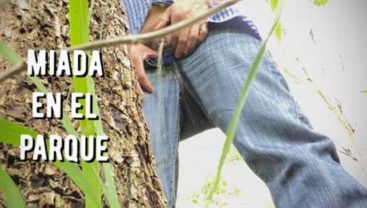 Outdoor Piss, random time at the park.