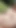 Adult Blonde Violet 18+ in the garden. Too Tempting to Resist! | Clip 1