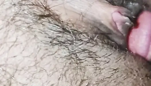 Pinke nahaufnahme muschi- und schwanz-sex