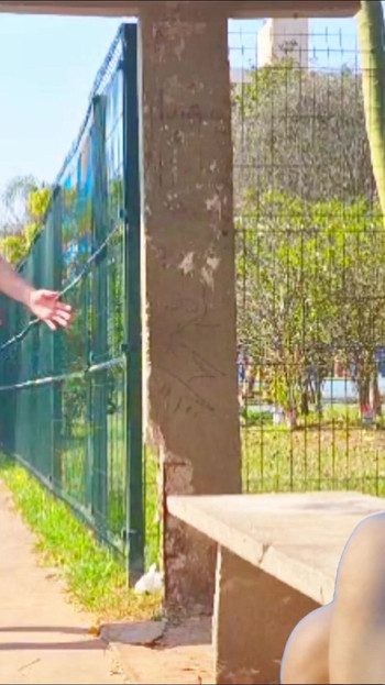 Must-share moment from "Sex in public at a bus stop."