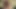 Mihonos sinnlicher asiatischer blowjob und wildes sex-abenteuer