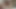 18yo stud boy Breeding neighbors Wife she has multiple orgasms upside creampie pregnant Alpha Male
