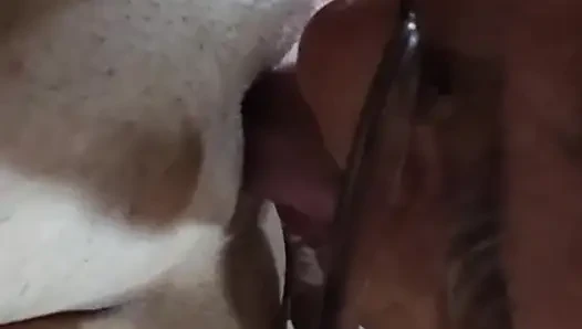 Yakın çekim amcığını yalıyor
