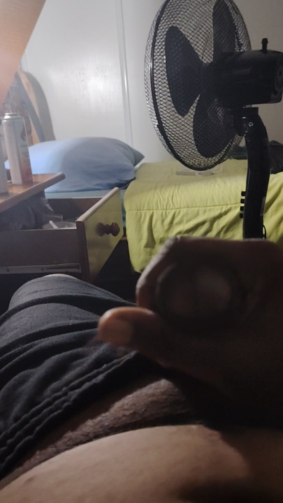 Ma bite pour toi ma chienne