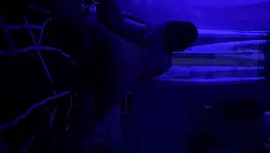 Video mahasiswi ngentot bersama pacarnya