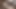 2人のエロいママがお互いを犯して食べる