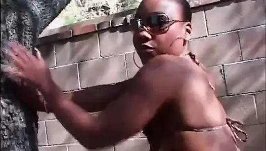 Schwarz-weiß sexy schwarze muschi fickt im garten