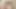 Seksi bir sekreterle anal seks. Ana karakter gibi hisset. POV