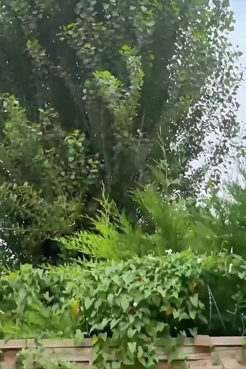 Cat in Mini, Beautiful Girl, Wants Two Dicks to Fuck Her