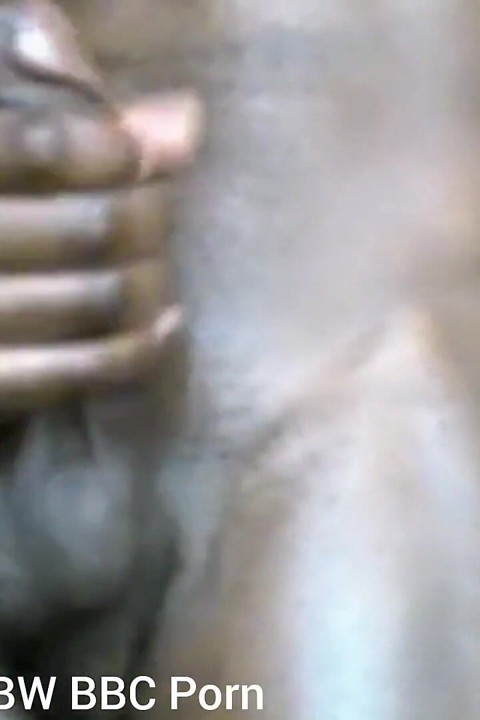 激しくイキつきながらBBCをしごき