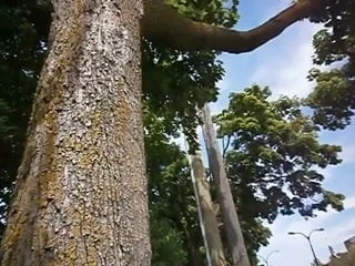 masturbation exib