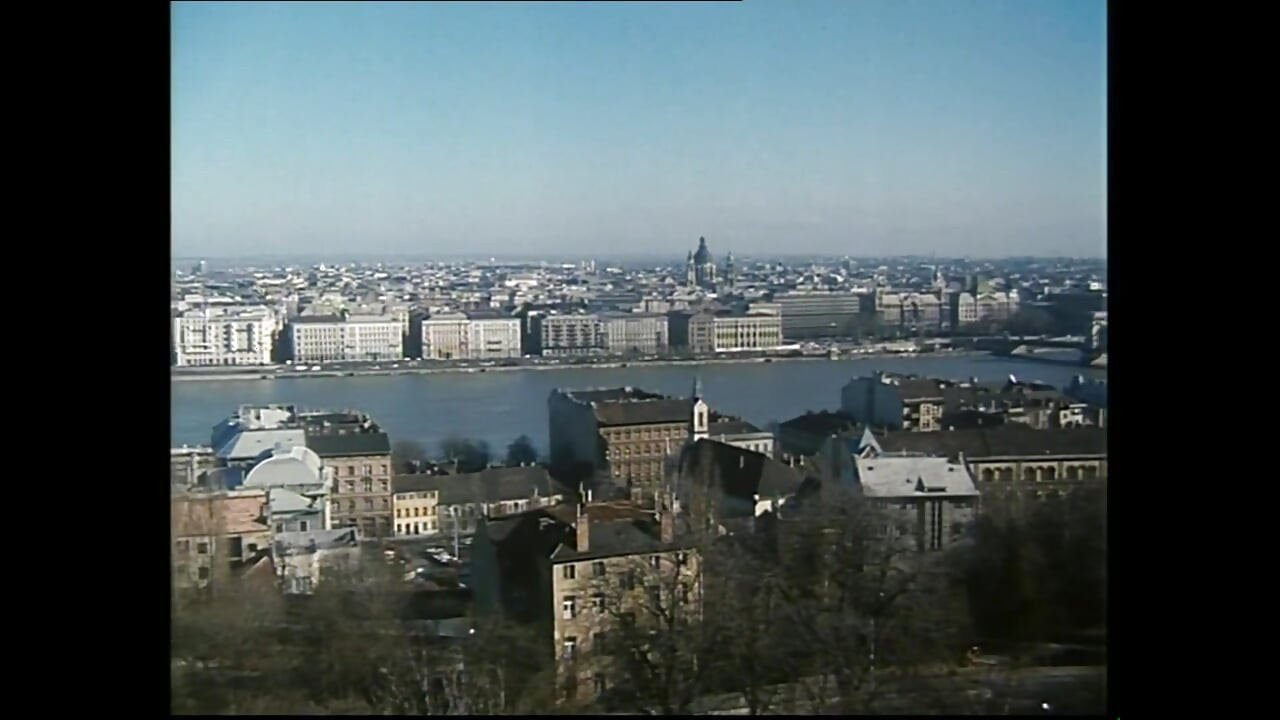 Il Maiale Succhia Il Gallo(film)