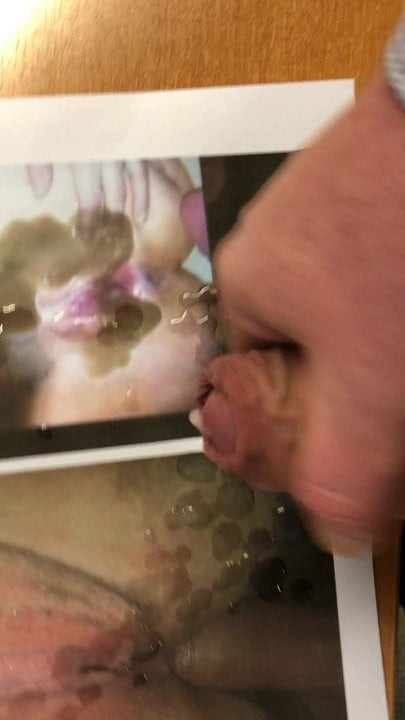 Cumtribute bifriesland
