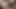 Wife catches mom jumping his cheating dick