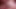 Pasangan baru ngentot habis-habisan saat liburan