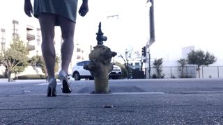 RobertaSlutCd lets a fire hydrant fuck her in public