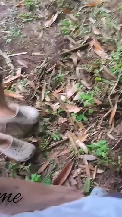 Memorable moment from "Beautiful girl I met in park outdoor blowjob it was her kinky fun to BJ in public"
