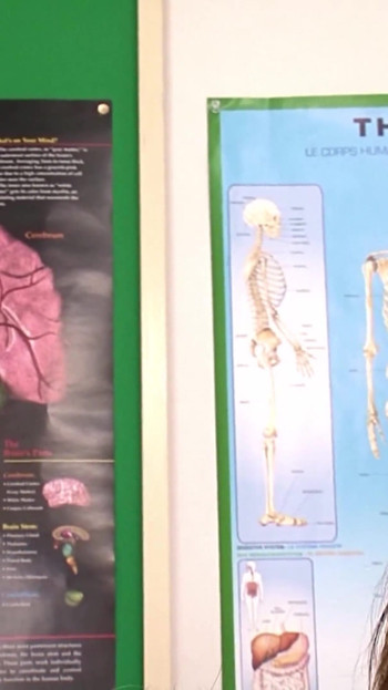 İnsan vücudunun anatomisini tartıştıktan sonra birçok erkeğe sazdan oldu