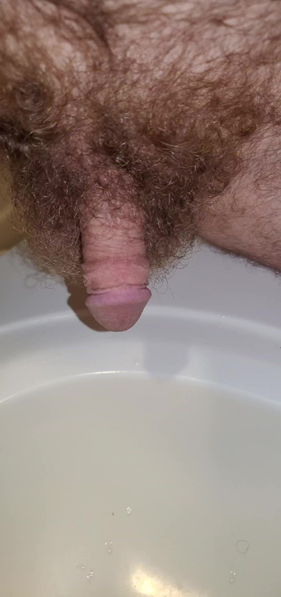 Peeing in the Sink