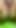 Playing with Wet Hairy Pussy. Look What Happened in the End 4K 60 Fps