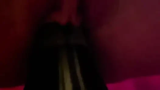 Champagne terbaik