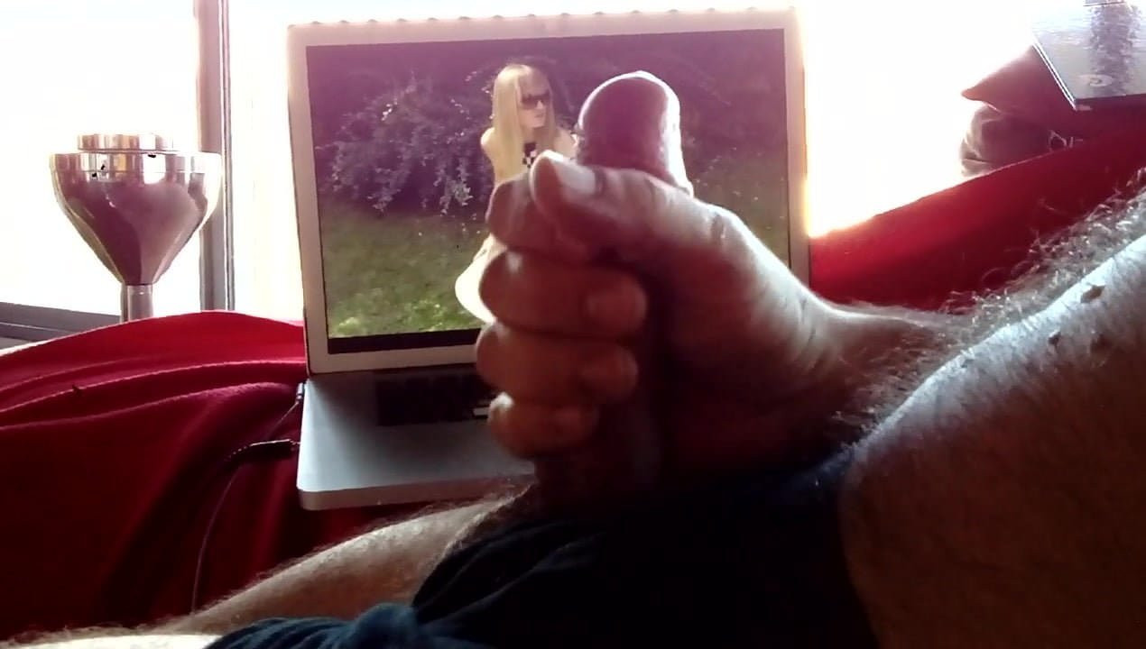tribute 7