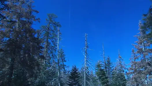 Wunderbares schätzchen mit dicken titten wird im freien geschraubt