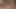 Daddy Talks Dirty and Moans Loudly and Ends up Hard Imagining How Your Tight Holes Ride on His Cock