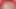Tante seksi india lagi asik seks anoreksia Dia kurus. Dia memiliki payudara kendor dan perut yang cemberut. Cewek itu lagi asik masturbasi di sofa merah