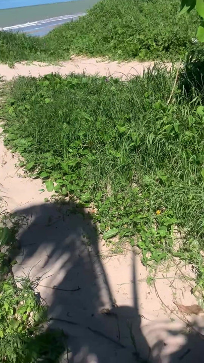 big dick on the beach | Clip 1