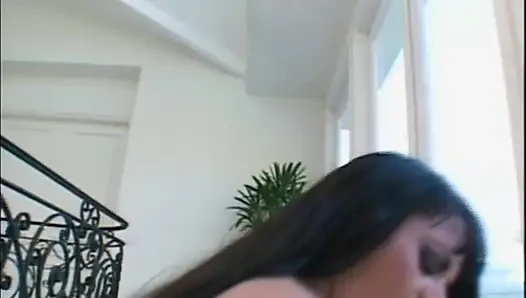 Bilinmesi gereken bir kedi