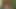 Desi milf Bhabhi gets real Sex enjoy with 18yrs Devar! Bhabhi Sex