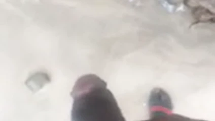 Amcık