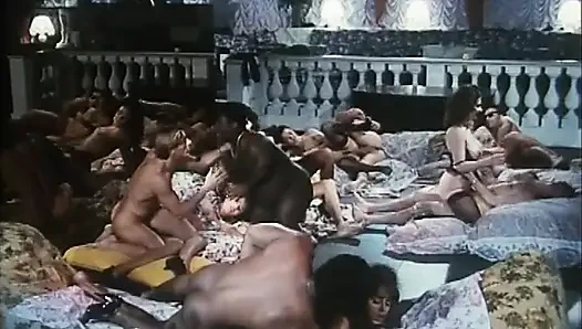 Großer schwarzer schwanz in behaarter muschi im arsch ... in den mund kommen