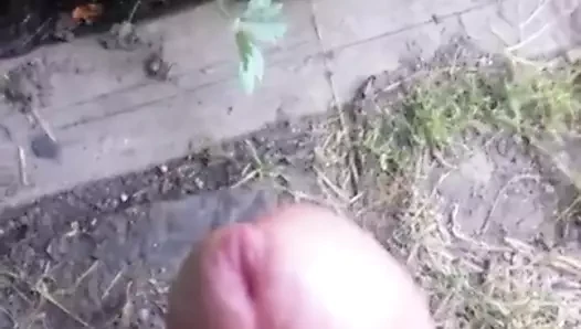 Boşalma