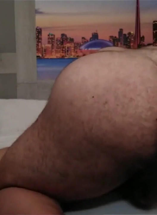 Sexy Bear Came for a Visit