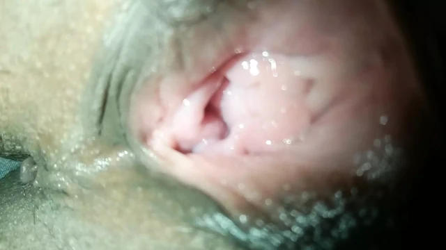 Megasexx