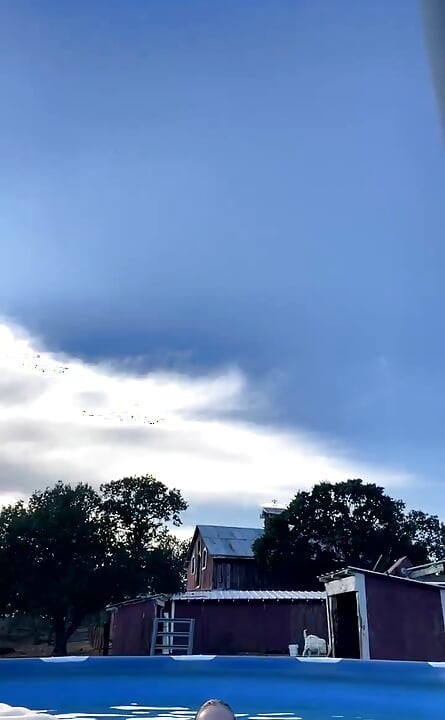 Stream Started Swimming