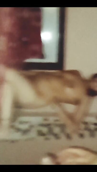 Latika Horney Sult Hard Core Step Brother Cum in Pussy