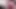 Tight virgin teen ass takes pink dildo first time anal