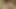 若い男の子がオナニーして絶頂4K