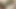Dövmeli milf sonbahar bodell lavanta tatlı kedi yiyor