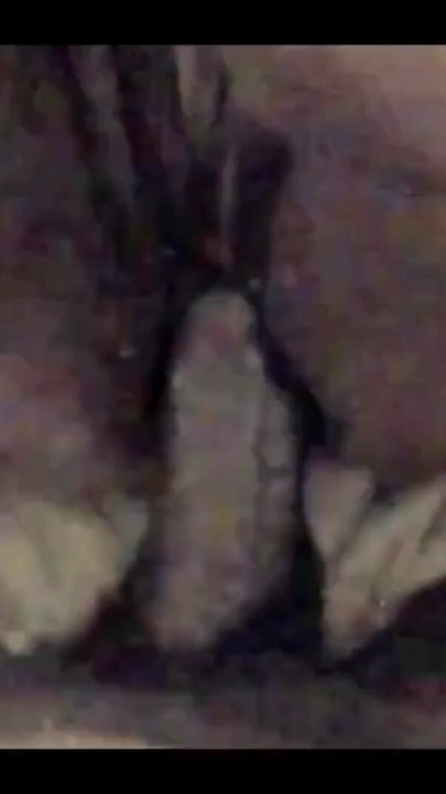 Amateur Black BBW Anal Compilation | Clip 1